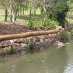 Read more about the article Coir Logs
