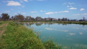 boonah waste water silt curtains