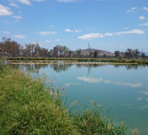 Boonah Waste Water And Reclamation Plant Upgrade