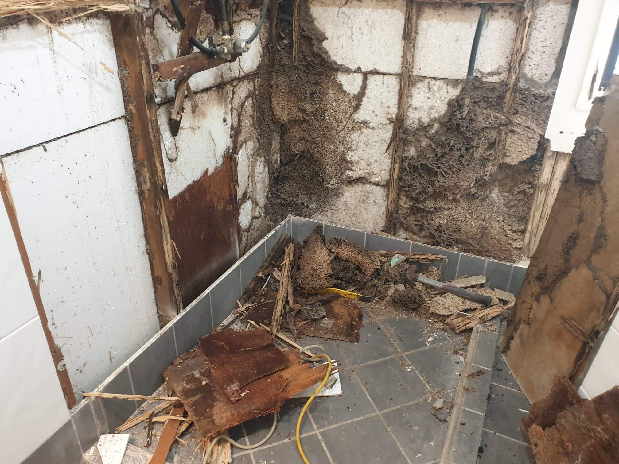 Termites destroyed bathroom care of Gold Coast Pest Inspector