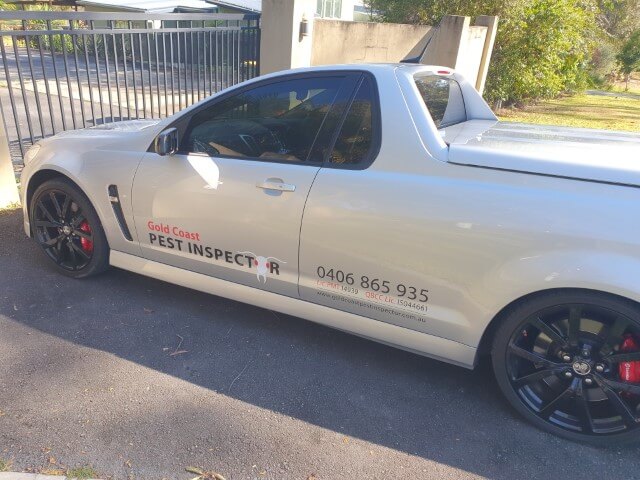 You are currently viewing Gold Coast Pest Control